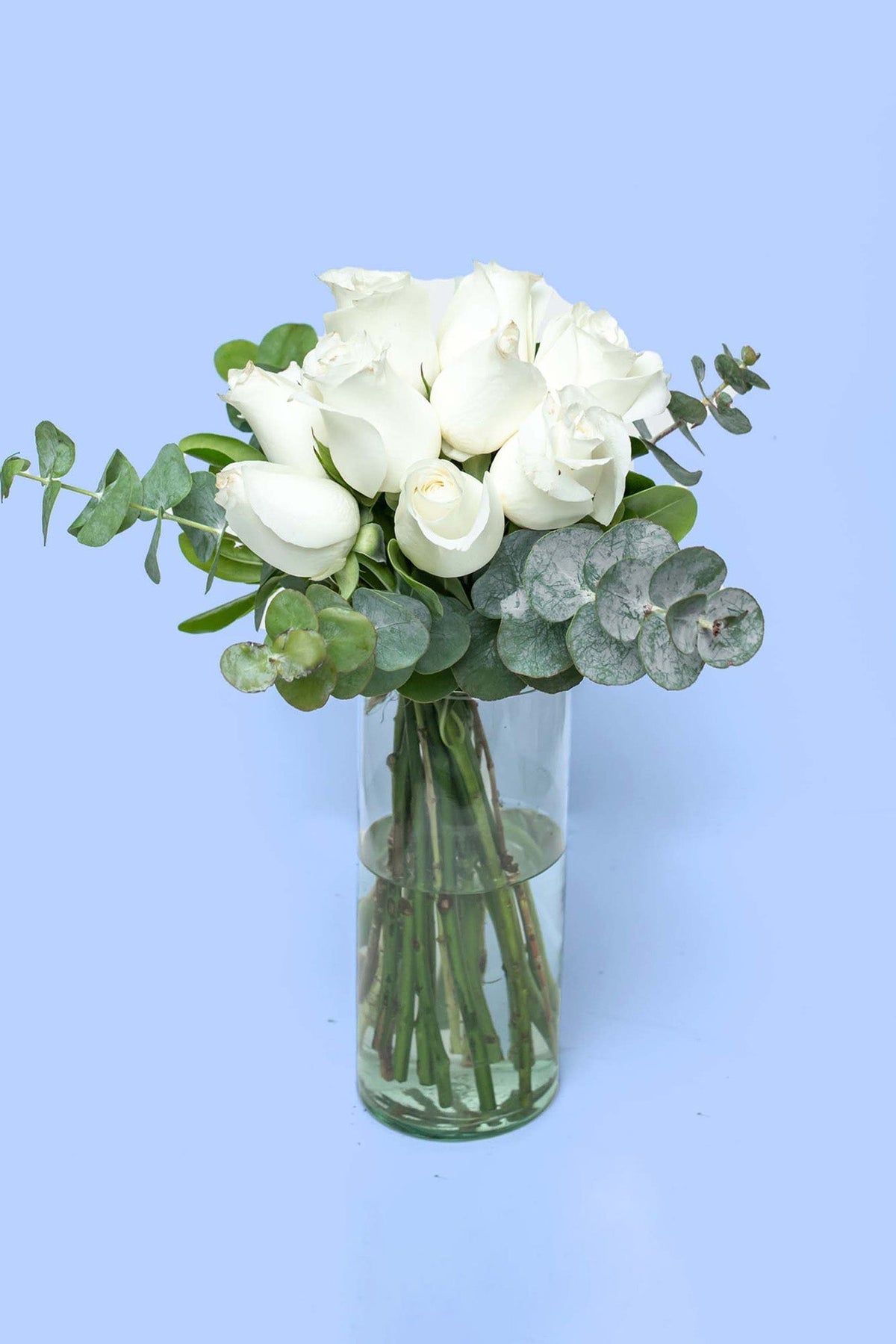 Love and Peace // White Rose