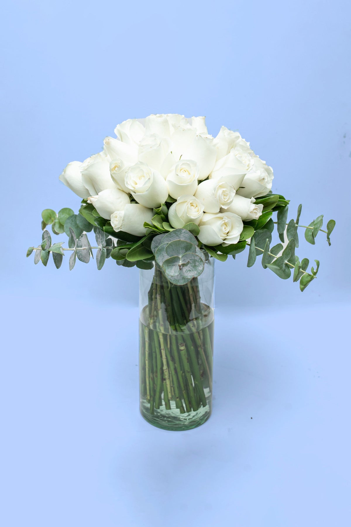 Love and Peace // White Rose