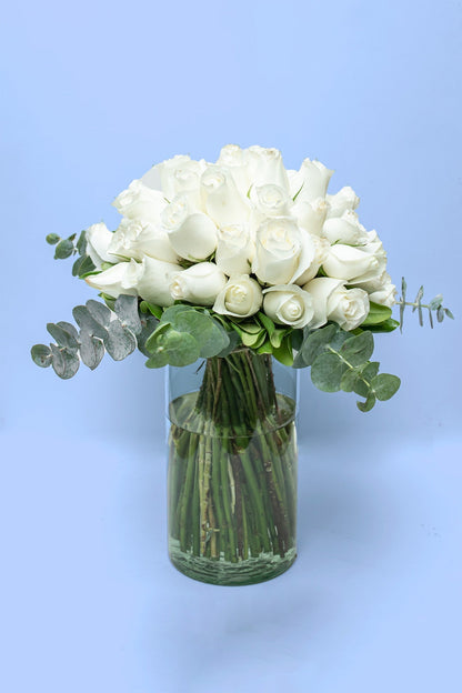 Love and Peace // White Rose