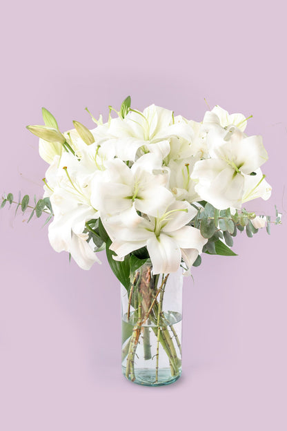 White House - Lilium Blanca Cun