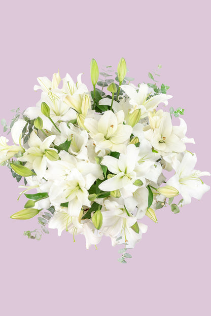 White House - Lilium Blanca Cun