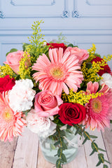 Colores Alegres - Gerbera Rosa, Rosa Roja y Clarita CDMX Sur