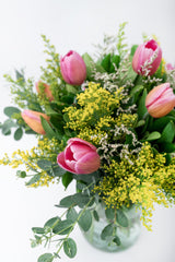 Friendship - Tulips GDL