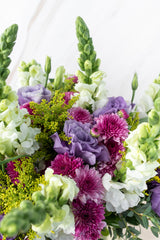 Aurora Boreal - Lisianthus Morada, Morelianas y Perrito Blanco CDMX Sur