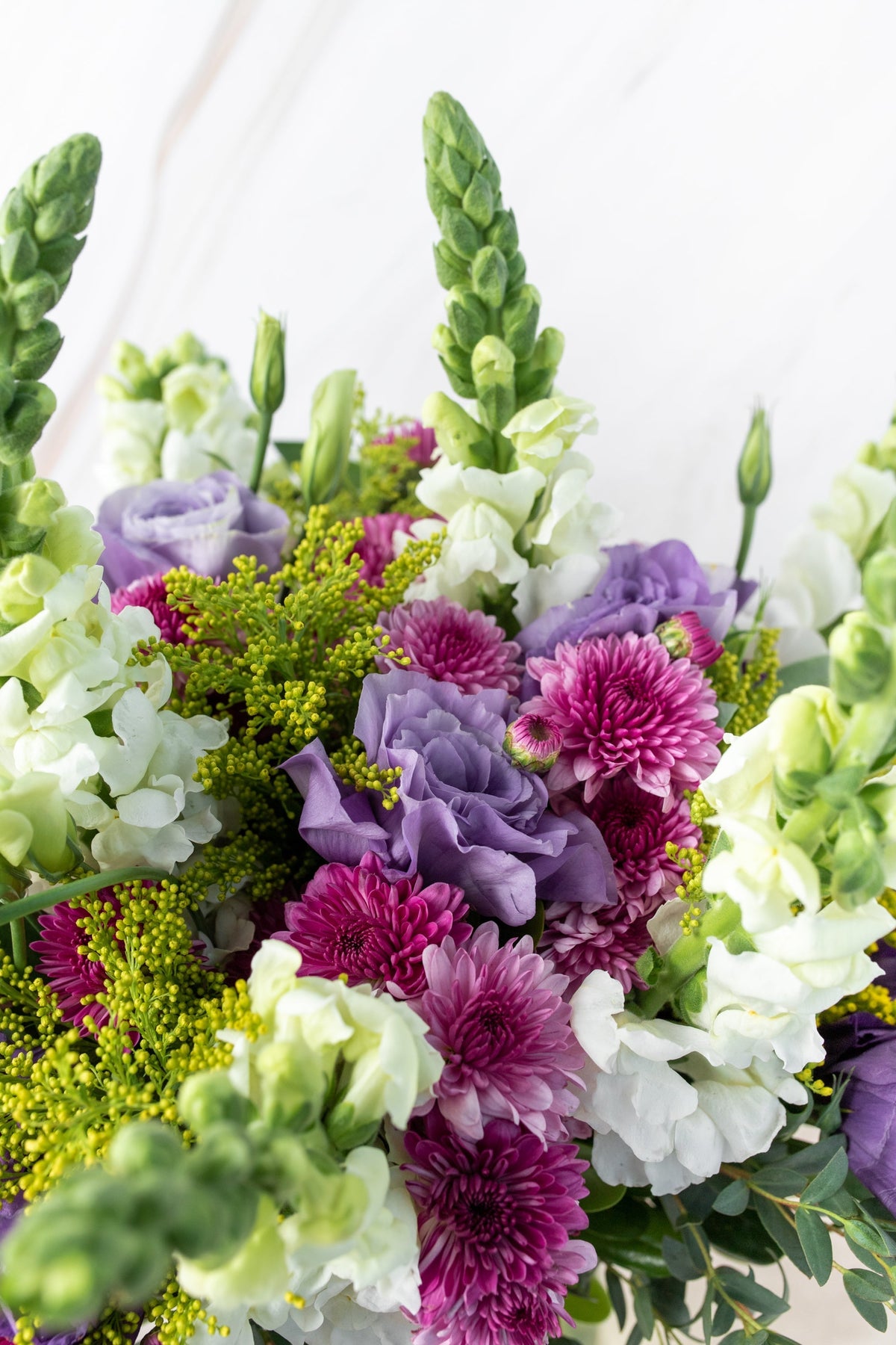 Aurora Boreal // Lisianthus Morada, Morelianas y Perrito Blanco