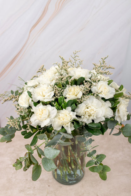 Rivera / White Carnation