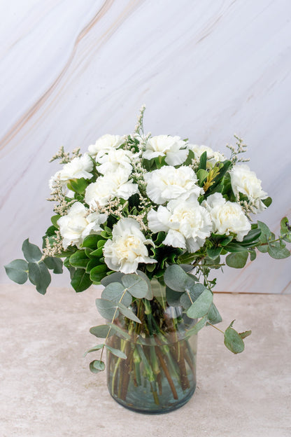 Rivera / White Carnation