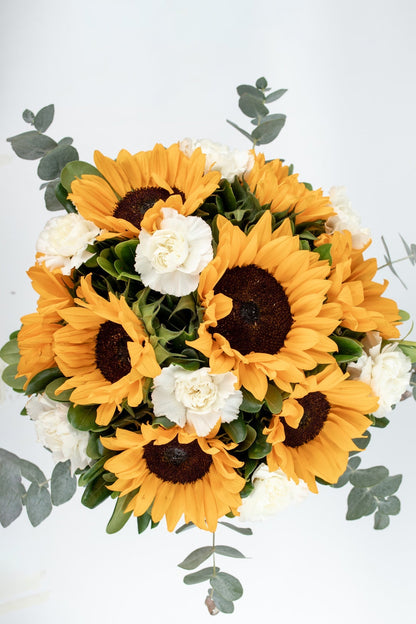 Cuando Calienta el Sol // Girasol y Clavel Blanco SNL