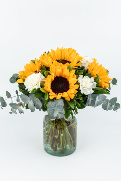 Cuando Calienta el Sol // Girasol y Clavel Blanco SNL