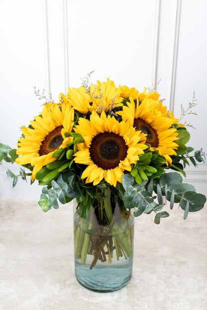 Sonrisa de Sol / Girasoles COACALCO