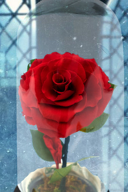 Beauty and the Beast Rose - Crystal Rose 