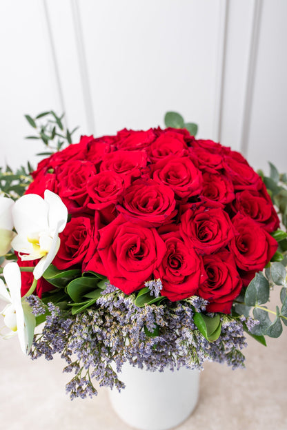 Like the Flower // Red Rose and Orchid SNL