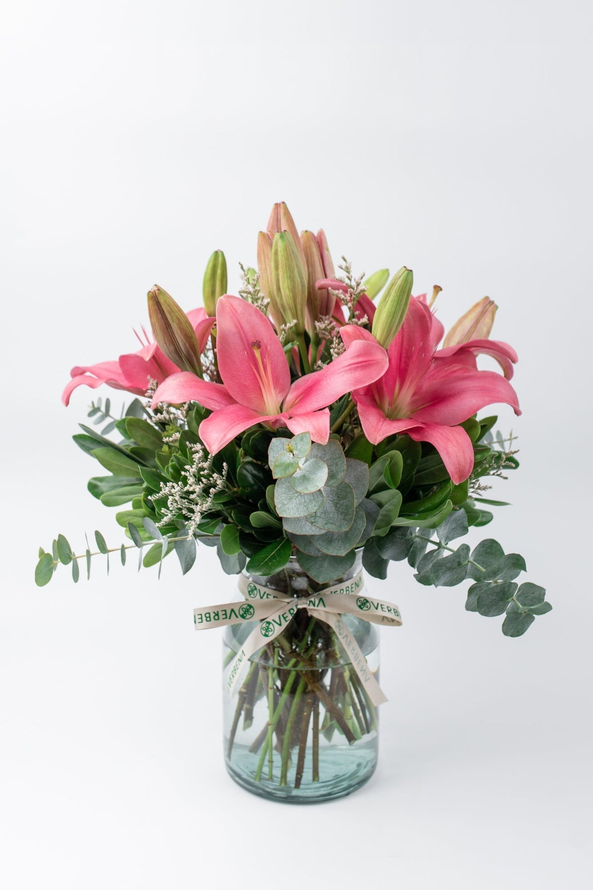 Las Brisas // Lilium Rosa SNL