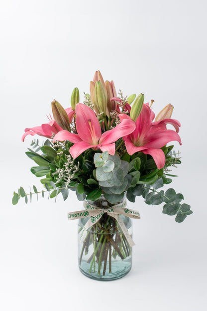 Las Brisas // Lilium Rosa SNL