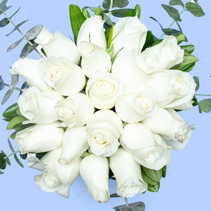 Love and Peace // White Rose