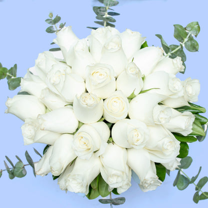 Love and Peace // White Rose