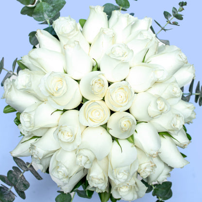 Love and Peace // White Rose