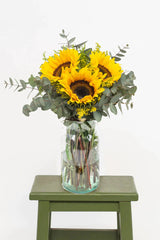 Tres motivos - Girasoles CDMX Sur